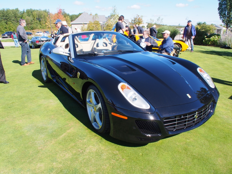 Illustration for article titled Concours D'elegance: Cobble Beach 2013 Photo Dump